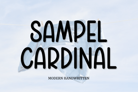 Why Sampel Cardinal is the Quirky Display Font Your Designs Need